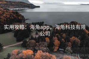 实用攻略：海角app，海角科技有限公司