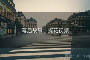 幕后故事：探花视频