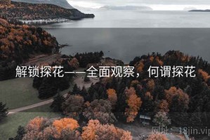 解锁探花——全面观察，何谓探花