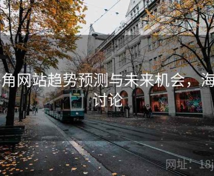 海角网站趋势预测与未来机会，海角讨论
