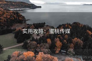 实用攻略：蜜桃传媒