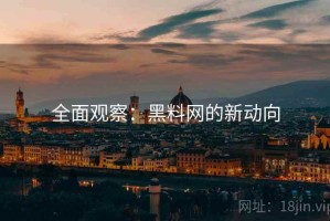 全面观察：黑料网的新动向