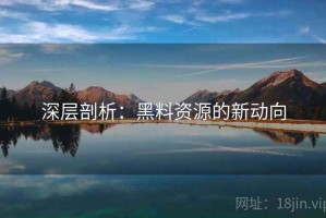 深层剖析：黑料资源的新动向