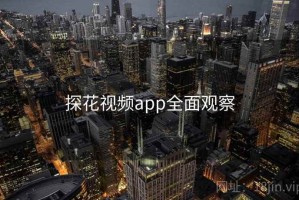 探花视频app全面观察