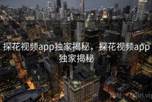 探花视频app独家揭秘，探花视频app独家揭秘