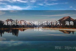 海角网站案例分析：成败得失，海角讨论