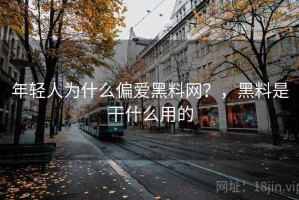 年轻人为什么偏爱黑料网？，黑料是干什么用的