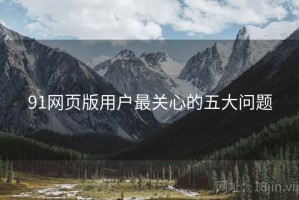 91网页版用户最关心的五大问题