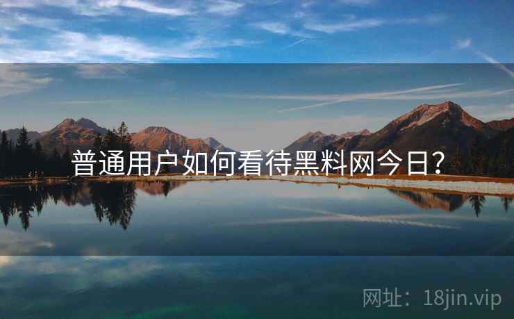 普通用户如何看待黑料网今日? 普通用户如何看待黑料网今日?