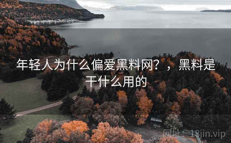 年轻人为什么偏爱黑料网?,黑料是干什么用的 年轻人为什么偏爱黑料网?,黑料是干什么用的