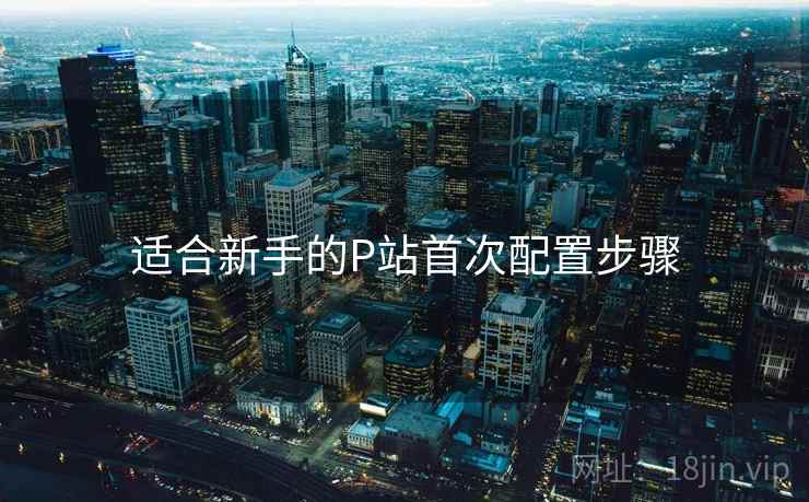 适合新手的P站首次配置步骤 适合新手的P站首次配置步骤