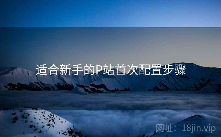 适合新手的P站首次配置步骤 适合新手的P站首次配置步骤