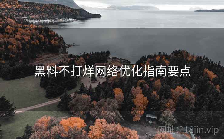 黑料不打烊网络优化指南要点 黑料不打烊网络优化指南要点