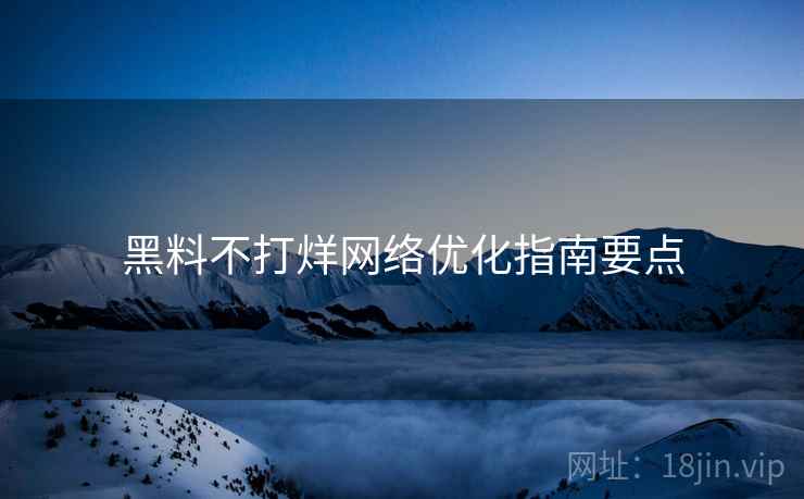 黑料不打烊网络优化指南要点 黑料不打烊网络优化指南要点